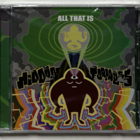 Hidden Fortress - All That Is (CD)